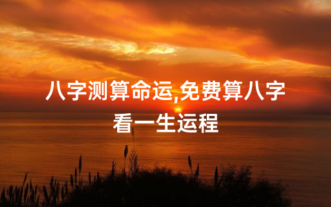 紫微斗数中富贵格局_富贵格局紫微斗数有哪些_紫微斗数富贵格局有多少个