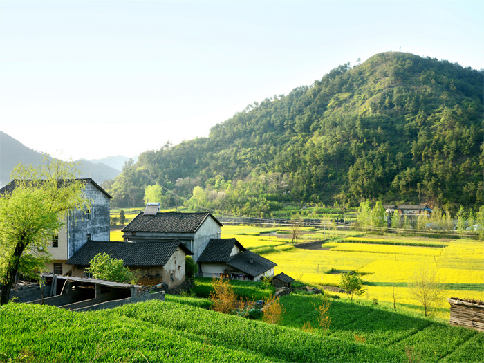 农村家居风水讲究，农村房屋风水布局禁忌